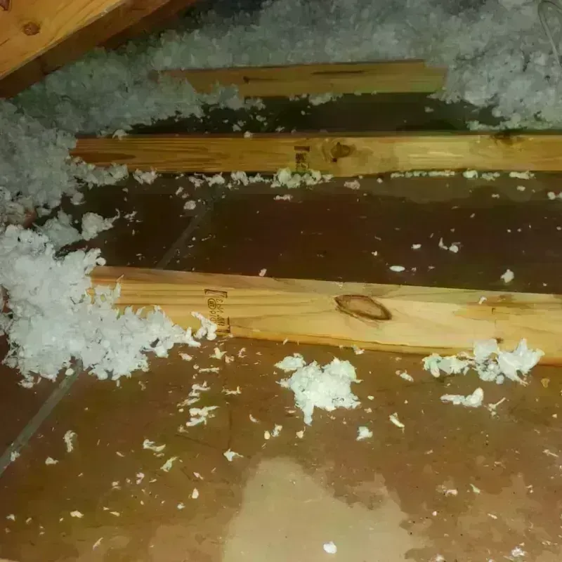 Attic Water Damage in Bethany, IL