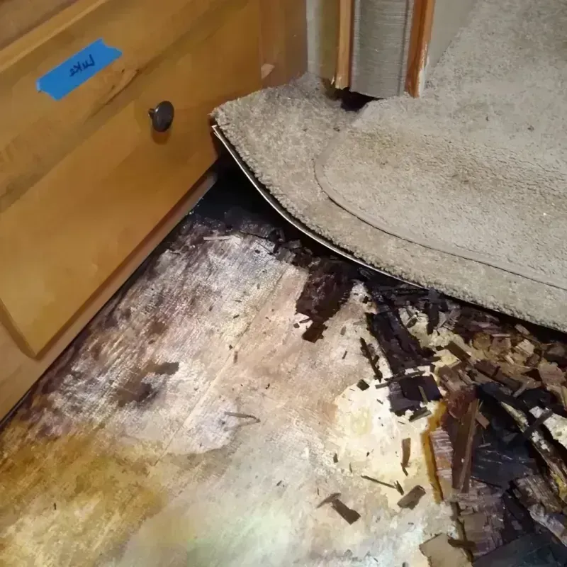 Wood Floor Water Damage in Bethany, IL